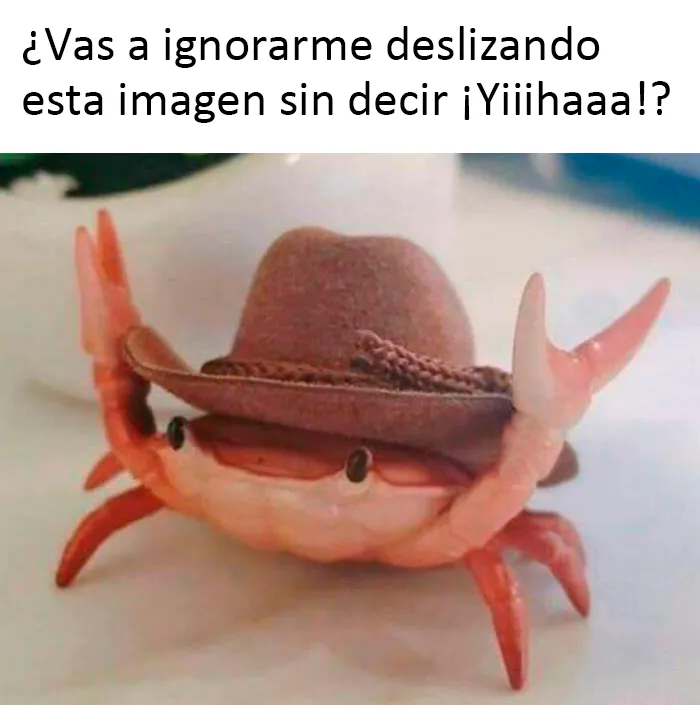 Este grupo de Facebook celebra a esos animales "adorables pero no", que quizá cambien tu opinión al respecto (25 fotos)