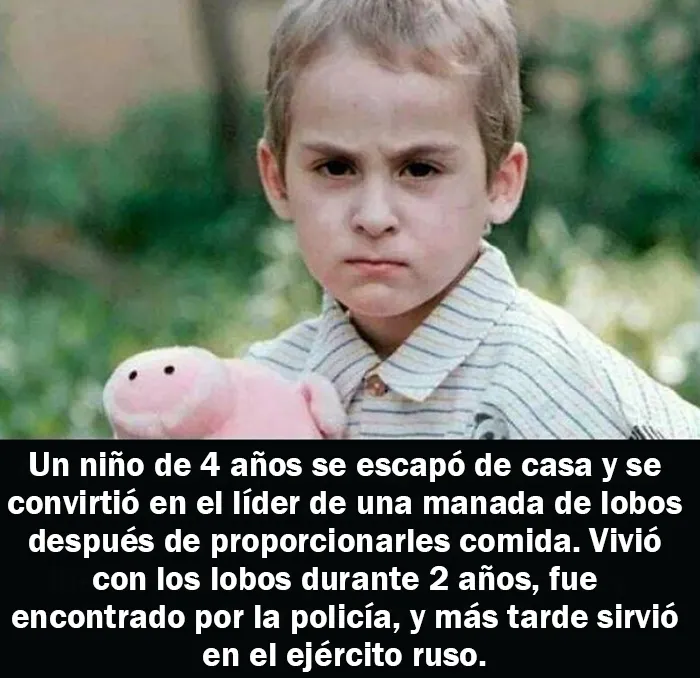 20 Hechos aleatorios que cuesta creer pero que son completamente ciertos, compartidos en esta cuenta enciclopédica de Instagram