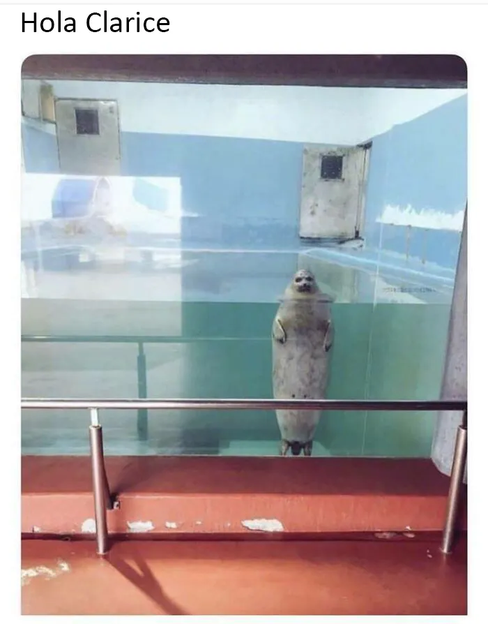 Este grupo de Facebook celebra a esos animales "adorables pero no", que quizá cambien tu opinión al respecto (25 fotos)