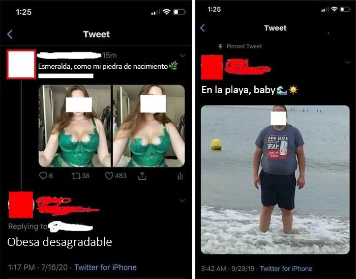 Historia de 2 tuits