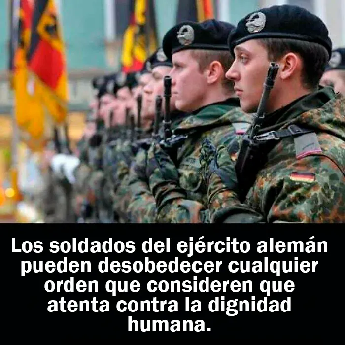 20 Hechos aleatorios que cuesta creer pero que son completamente ciertos, compartidos en esta cuenta enciclopédica de Instagram