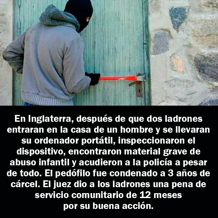 20 Hechos aleatorios que cuesta creer pero que son completamente ciertos, compartidos en esta cuenta enciclopédica de Instagram