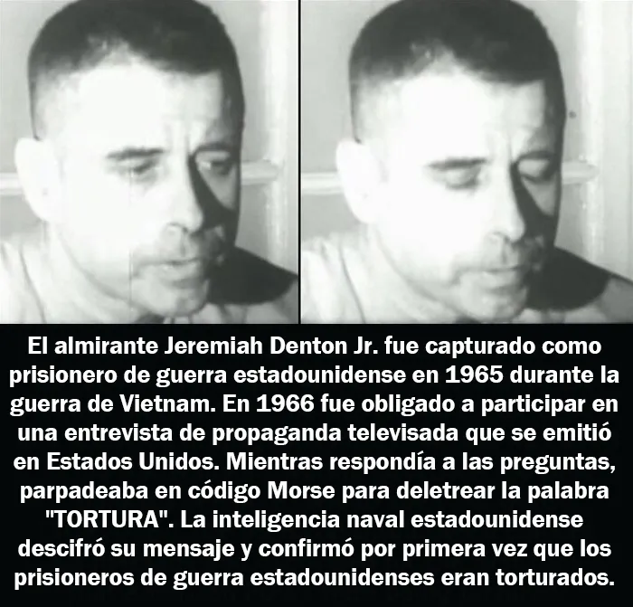 20 Hechos aleatorios que cuesta creer pero que son completamente ciertos, compartidos en esta cuenta enciclopédica de Instagram