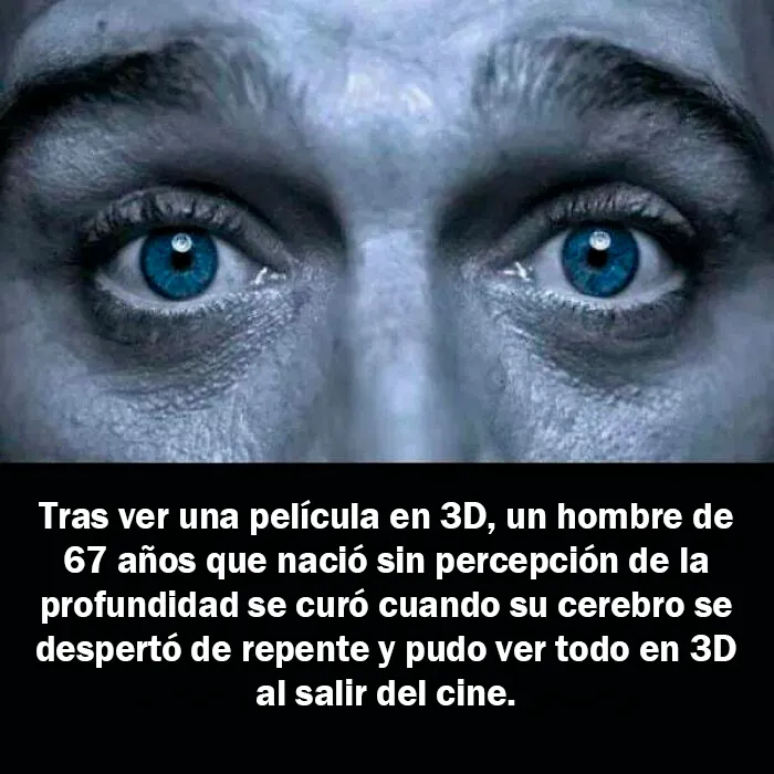 20 Hechos aleatorios que cuesta creer pero que son completamente ciertos, compartidos en esta cuenta enciclopédica de Instagram
