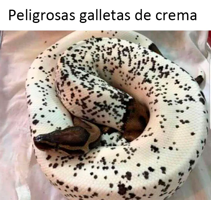Este grupo de Facebook celebra a esos animales "adorables pero no", que quizá cambien tu opinión al respecto (25 fotos)