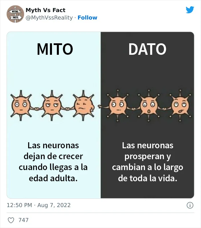 20 "Datos" que en realidad no son ciertos, compartidos en Twitter