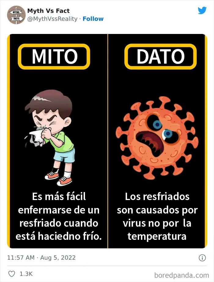 20 "Datos" que en realidad no son ciertos, compartidos en Twitter