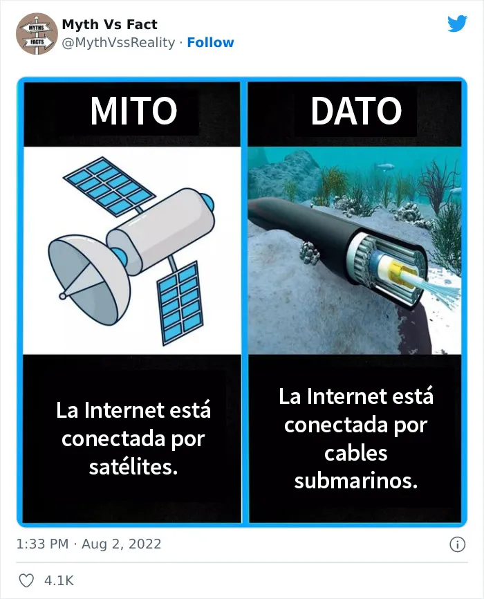 20 "Datos" que en realidad no son ciertos, compartidos en Twitter