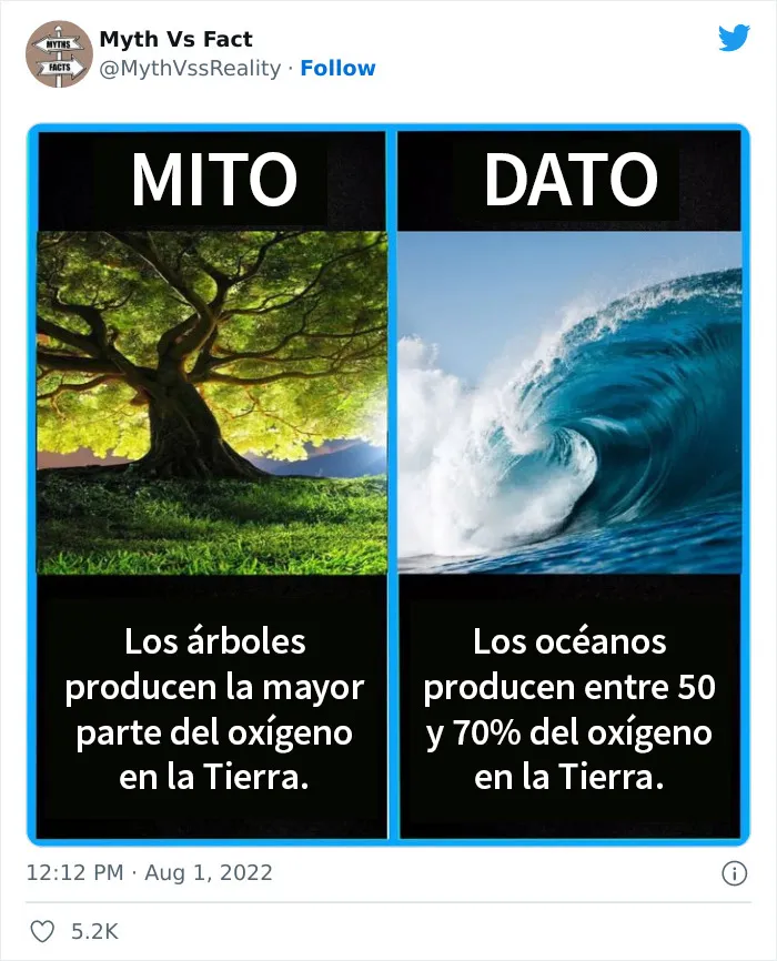 20 "Datos" que en realidad no son ciertos, compartidos en Twitter