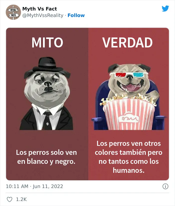 20 "Datos" que en realidad no son ciertos, compartidos en Twitter
