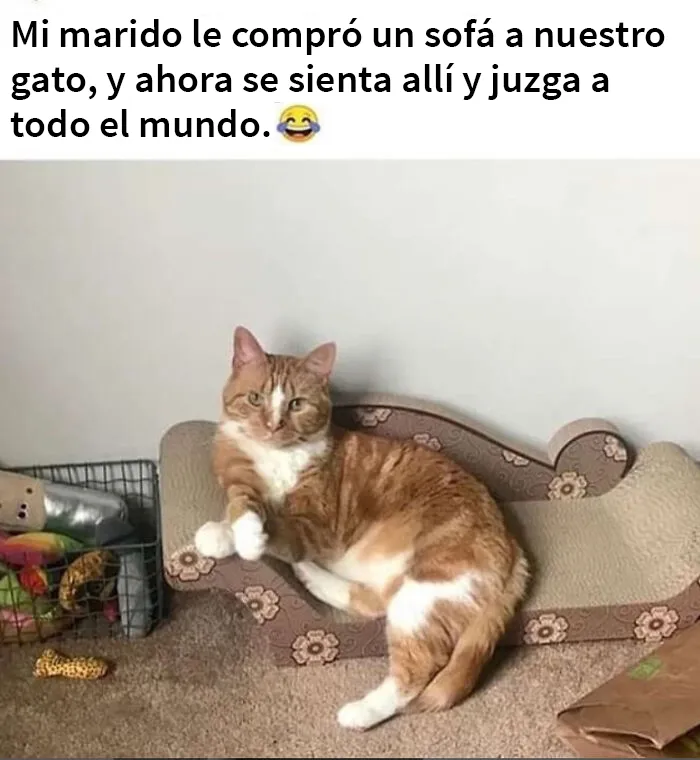 JAJAJA 