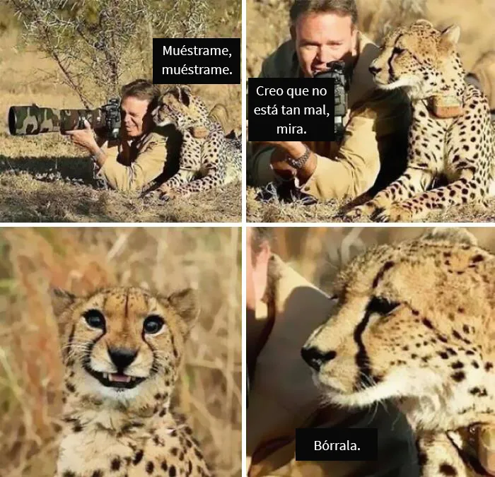 ¡Jajajajaja!