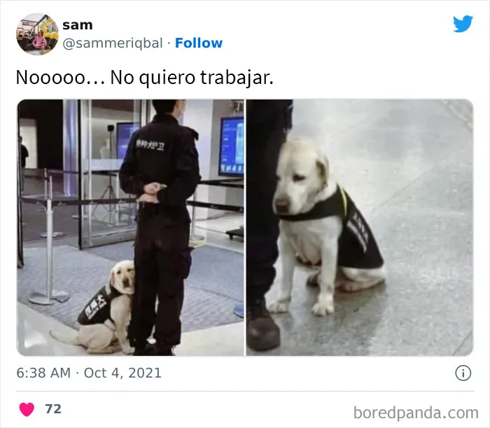 No quiero trabajar