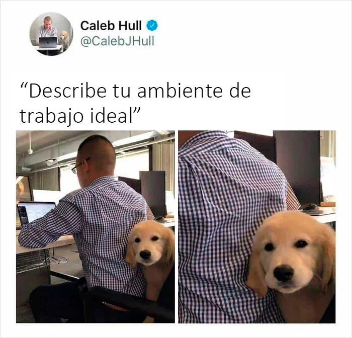 Lo necesito