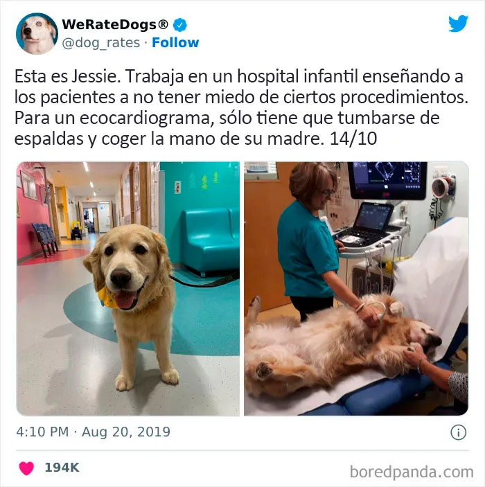 Dónde estaba Jessie cuando me hicieron una resonancia