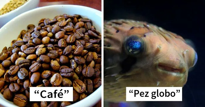20 Alimentos curiosos que sabemos que son comestibles, pero no cómo nuestros ancestros lo descubrieron