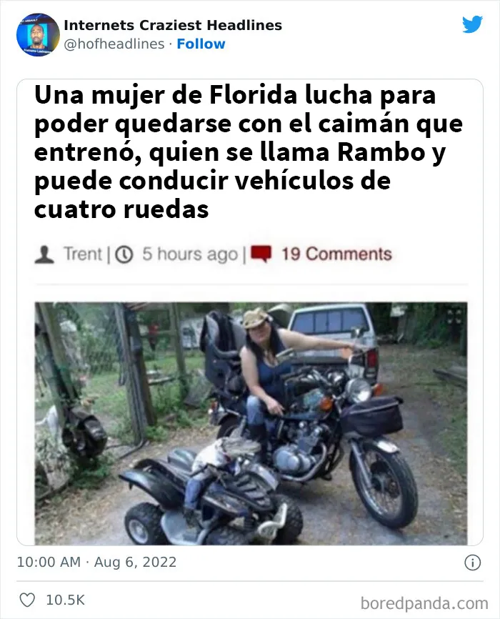 20 Ridículos titulares de noticias que alguna vez fueron compartidos o impresos