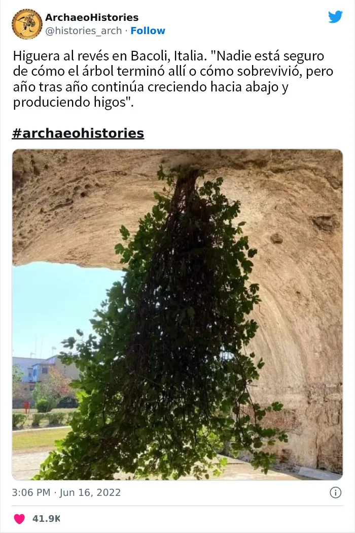 20 Increíbles descubrimientos arqueológicos compartidos en esta cuenta educativa de Twitter