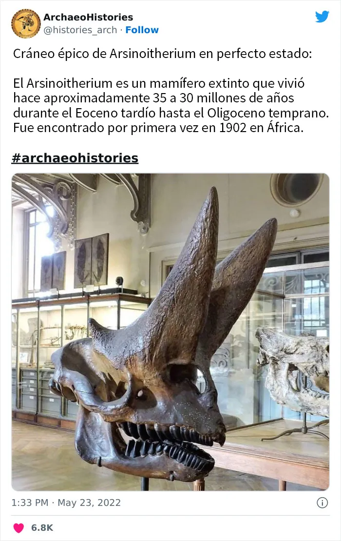 20 Increíbles descubrimientos arqueológicos compartidos en esta cuenta educativa de Twitter