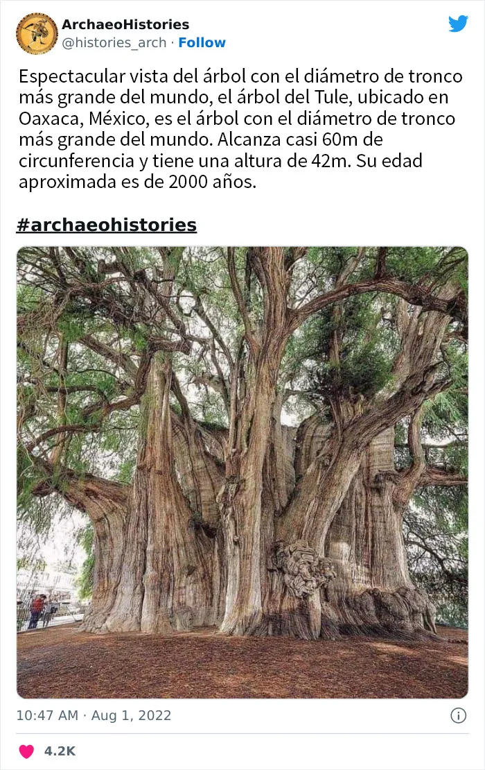 20 Increíbles descubrimientos arqueológicos compartidos en esta cuenta educativa de Twitter