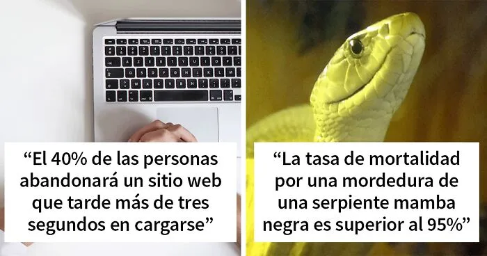 20 Estadísticas increíbles tan aleatorias como interesantes, compartidas en esta cuenta de Twitter