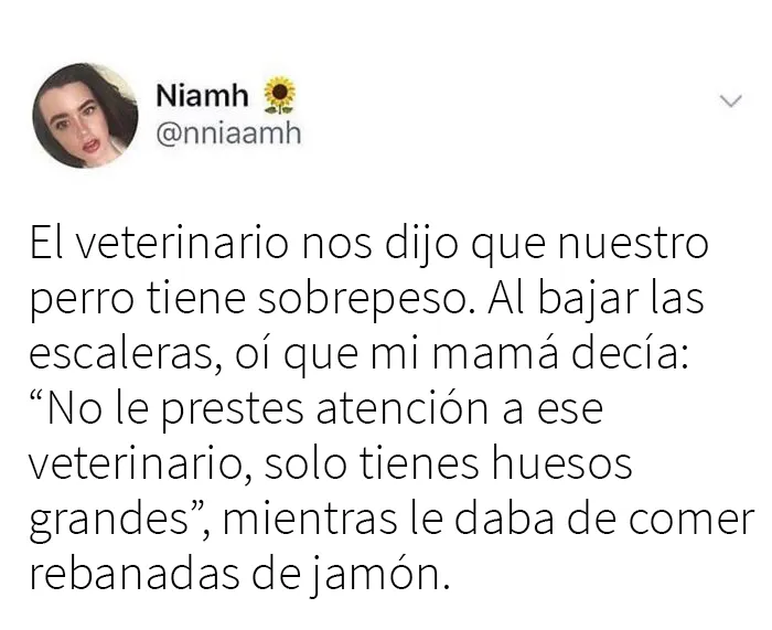 20 Divertidísimos memes sobre lo que es ser británico