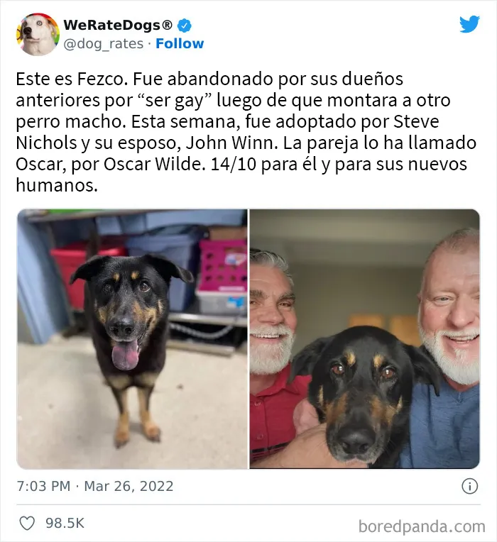 La cuenta de Twitter “WeRateDogs” tiene ya 9 millones de seguidores, y valora a los perros de la gente de forma tan graciosa como adorable (20 imágenes nuevas)