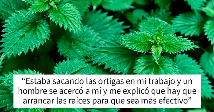 25 Hombres poniéndose en ridículo al intentar explicar cosas a las mujeres
