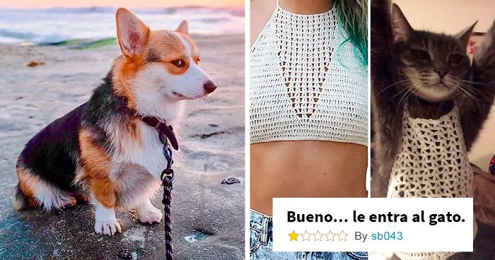 35 Imágenes de este grupo online donde "reírse con nuestros amigos no humanos"