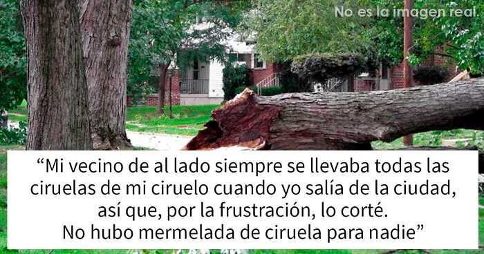 “¿Cuál es tu historia en la que pensaste ‘Si caigo, tú caerás conmigo’?”: 15 personas responden