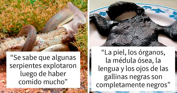20 Datos curiosos pero geniales sobre la naturaleza compartidos en este grupo de FB