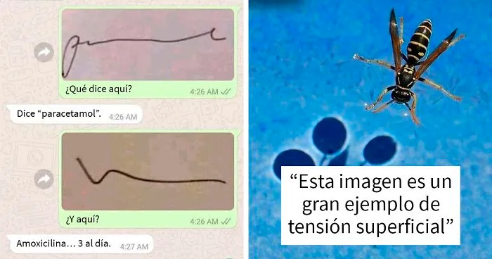 25 Ingeniosos memes sobre ciencia que combinan humor y conocimiento a la perfección
