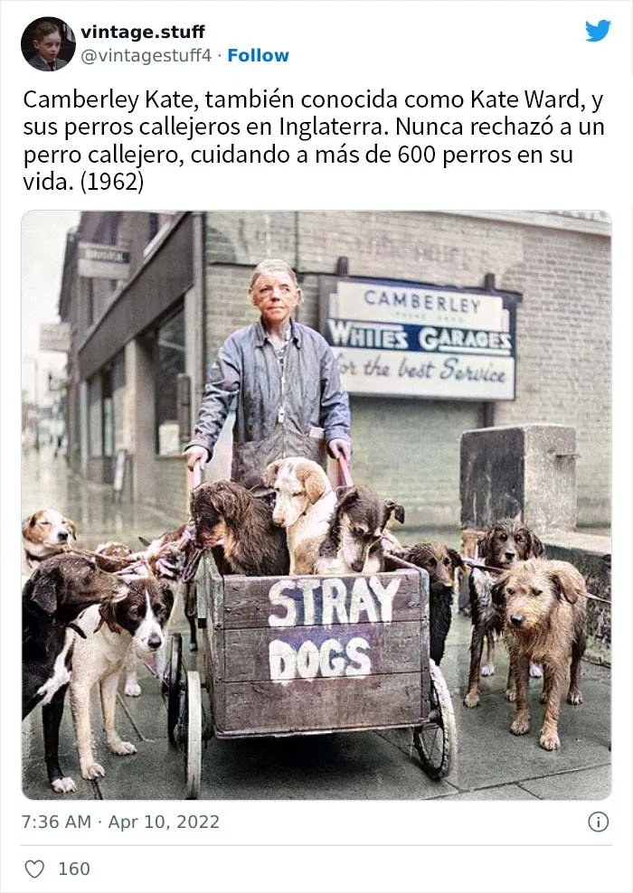 20 Fotos coloreadas que hacen que la historia se vea realmente impresionante, compartidas en esta cuenta de Twitter