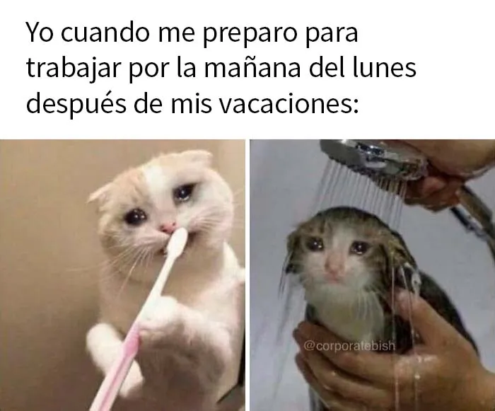 20 Memes acertados sobre vivir el sueño corporativo con los que quizá te identifiques