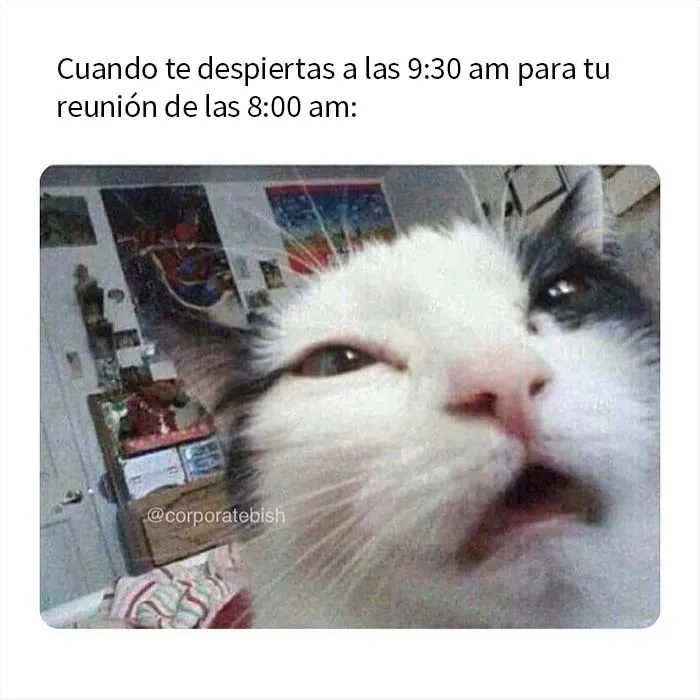 20 Memes acertados sobre vivir el sueño corporativo con los que quizá te identifiques