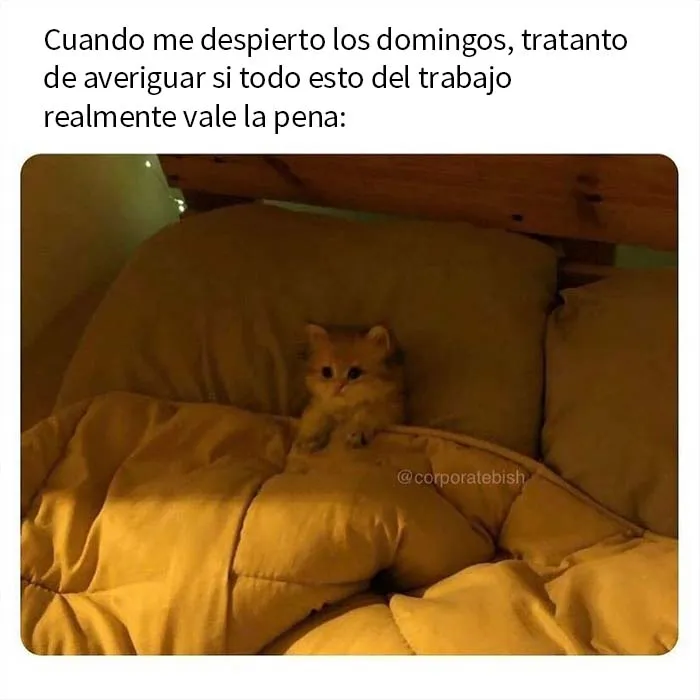 20 Memes acertados sobre vivir el sueño corporativo con los que quizá te identifiques