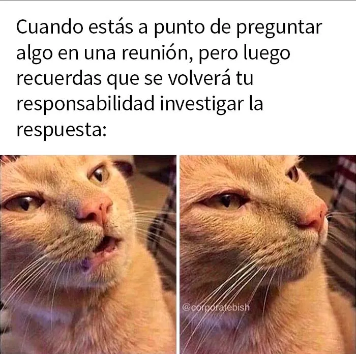 20 Memes acertados sobre vivir el sueño corporativo con los que quizá te identifiques