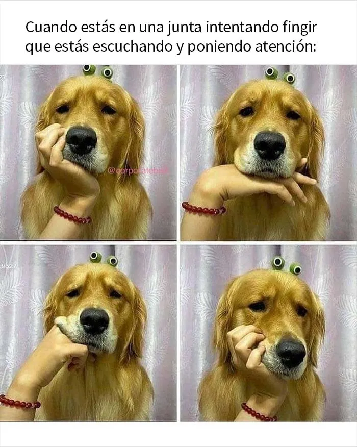 20 Memes acertados sobre vivir el sueño corporativo con los que quizá te identifiques