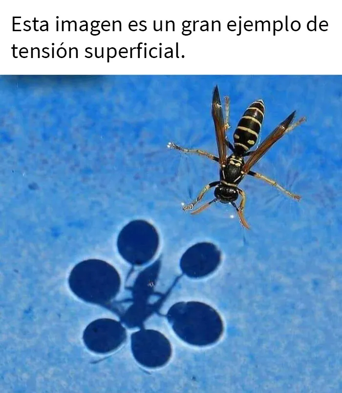 25 Ingeniosos memes sobre ciencia que combinan humor y conocimiento a la perfección
