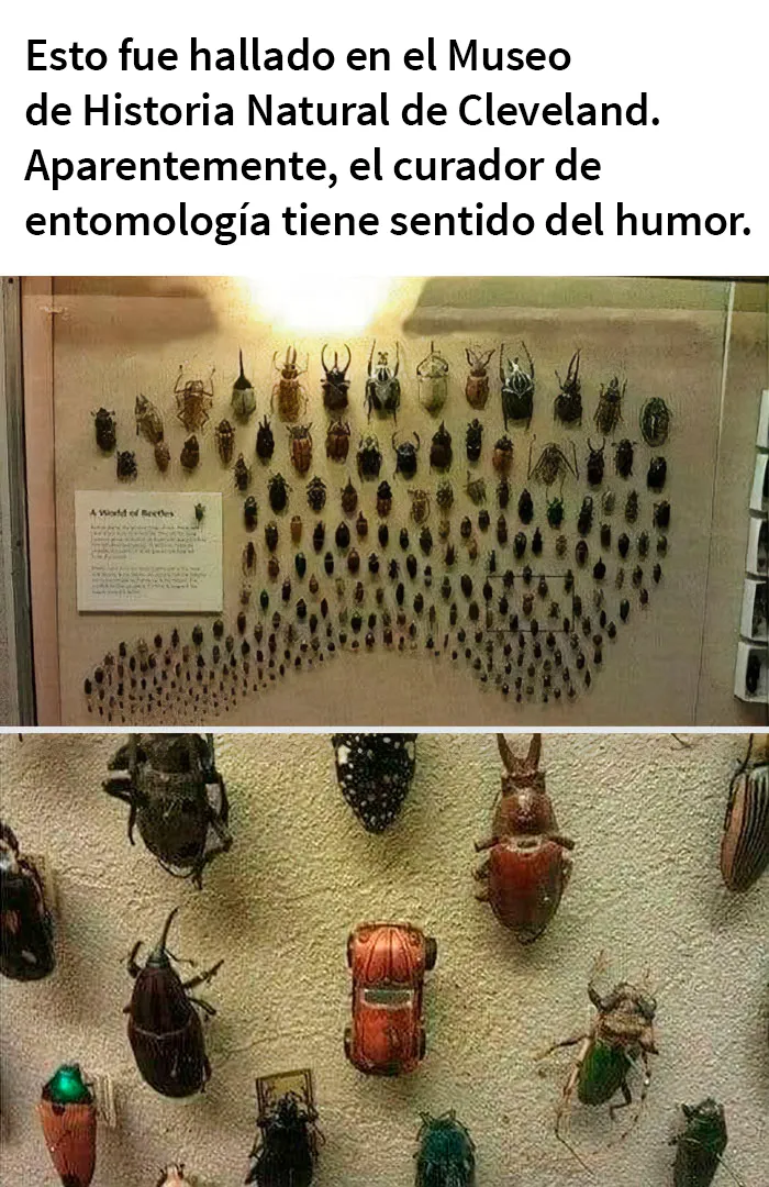 25 Ingeniosos memes sobre ciencia que combinan humor y conocimiento a la perfección