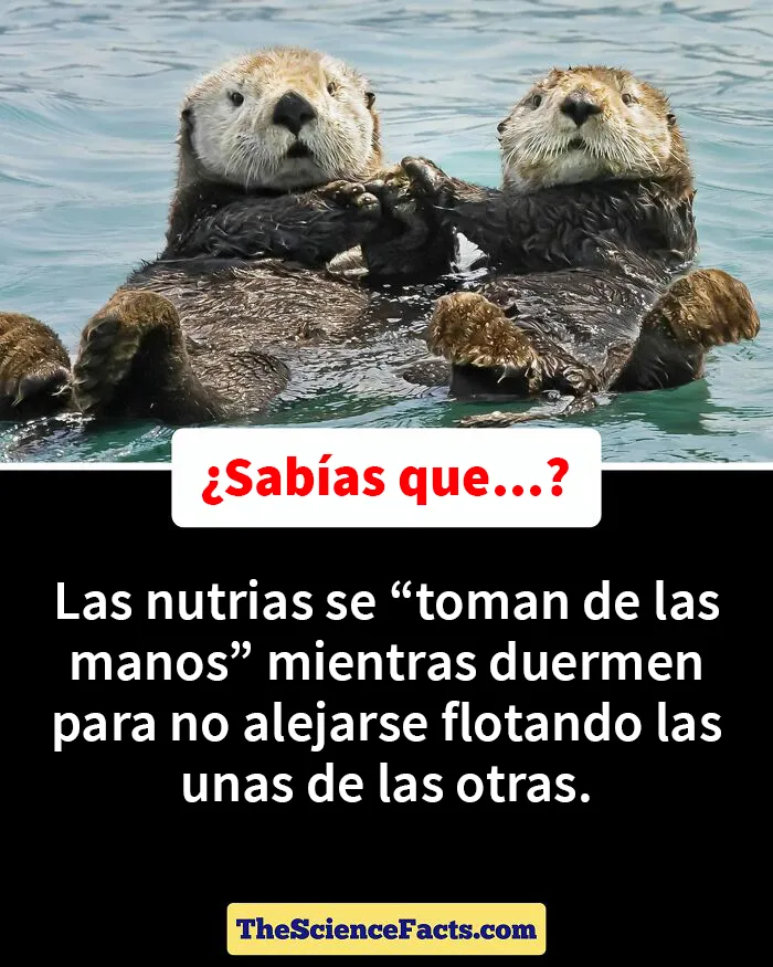 20 Datos curiosos pero geniales sobre la naturaleza compartidos en este grupo de FB