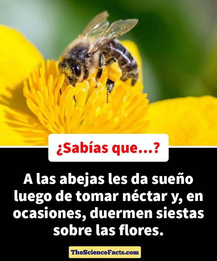 20 Datos curiosos pero geniales sobre la naturaleza compartidos en este grupo de FB