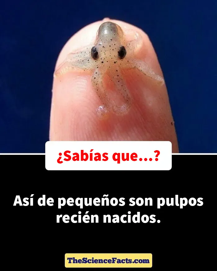 20 Datos curiosos pero geniales sobre la naturaleza compartidos en este grupo de FB