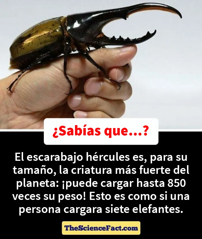 20 Datos curiosos pero geniales sobre la naturaleza compartidos en este grupo de FB