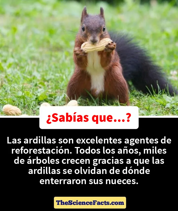 20 Datos curiosos pero geniales sobre la naturaleza compartidos en este grupo de FB