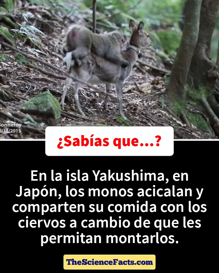 20 Datos curiosos pero geniales sobre la naturaleza compartidos en este grupo de FB