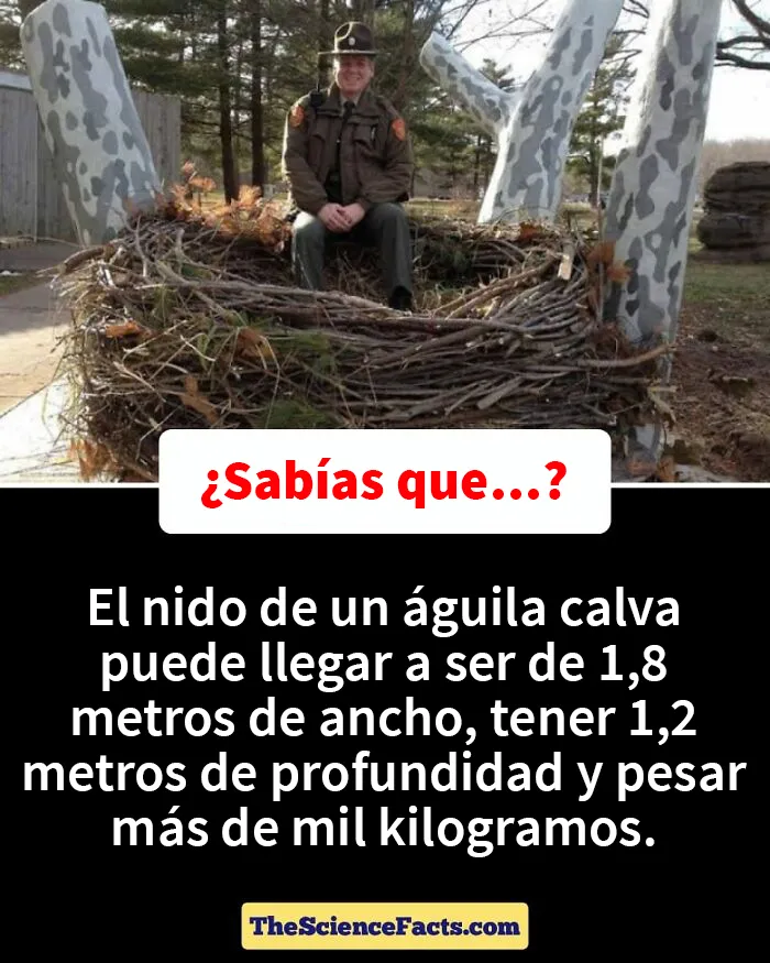 20 Datos curiosos pero geniales sobre la naturaleza compartidos en este grupo de FB