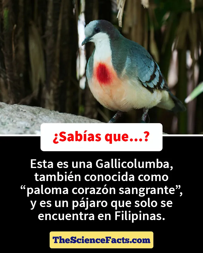20 Datos curiosos pero geniales sobre la naturaleza compartidos en este grupo de FB