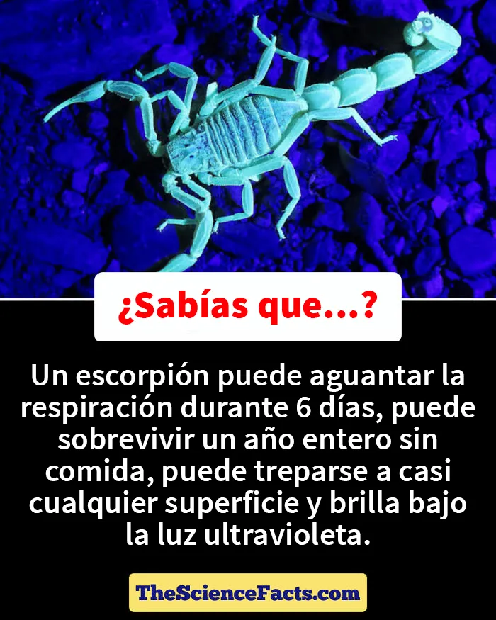 20 Datos curiosos pero geniales sobre la naturaleza compartidos en este grupo de FB