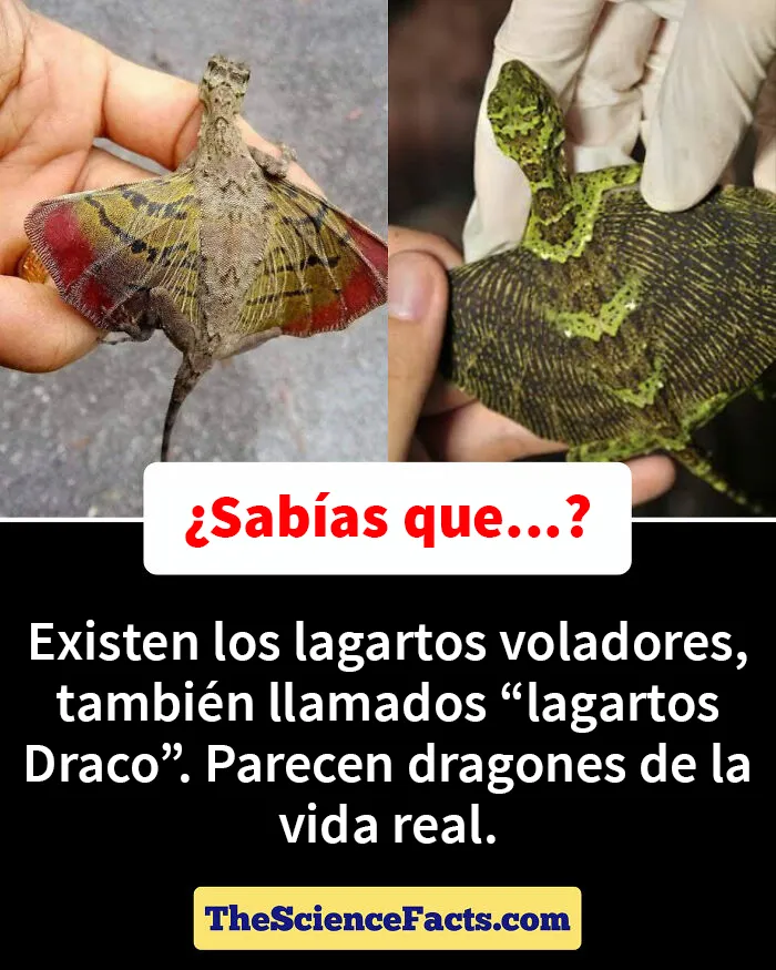 20 Datos curiosos pero geniales sobre la naturaleza compartidos en este grupo de FB
